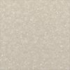 Desert Sand R6460